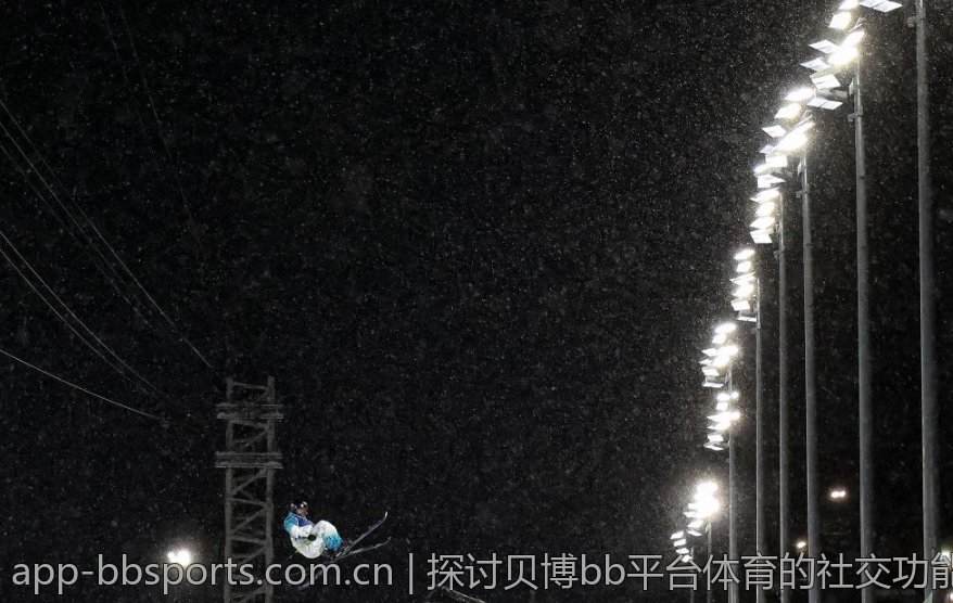 探讨贝博bb平台体育的社交功能与互动体验