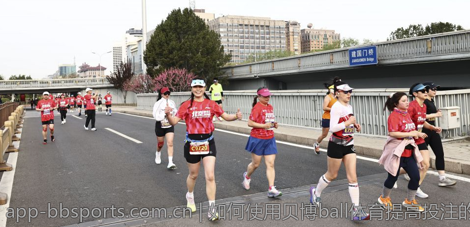 如何使用贝博ball体育提高投注的成功率
